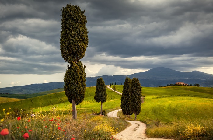 Photography Tuscany Hd Landscape Italy Hd Wallpaper Rare Gallery