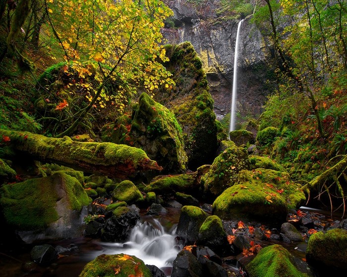 Landscape Forest Waterfall Rock Nature Green River Wilderness