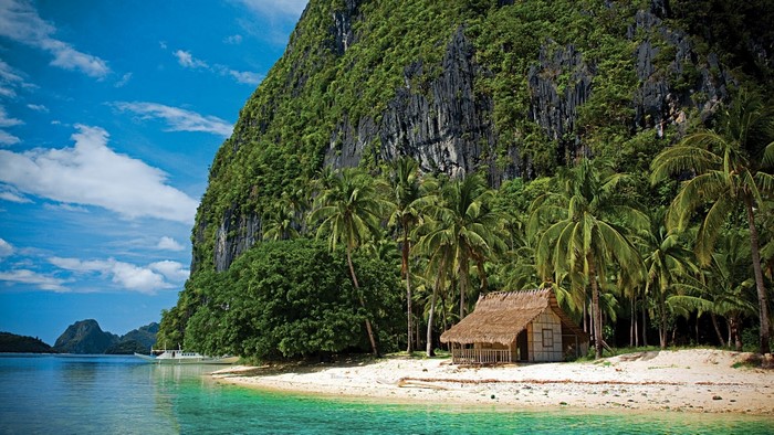 Palm Trees Nature Boat Thailand Tropical Summer