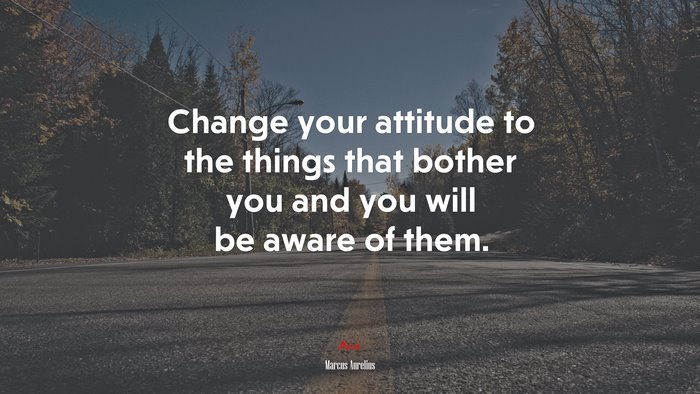 Change Your Attitude To The Things That Bother You And You Will Be