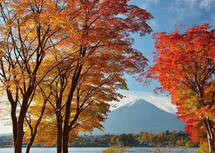 K K K Autumn Mountains Sky Mount Fuji Japan Trees Clouds