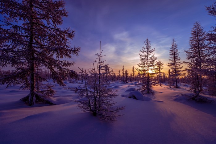 K K Seasons Winter Sunrises And Sunsets Spruce Snow