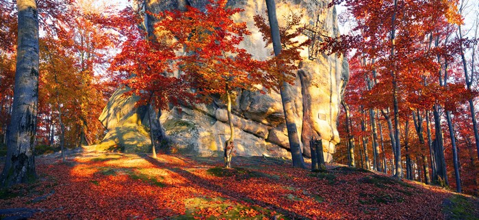 K K K Ukraine Autumn Forests Zakarpattia Trees Crag