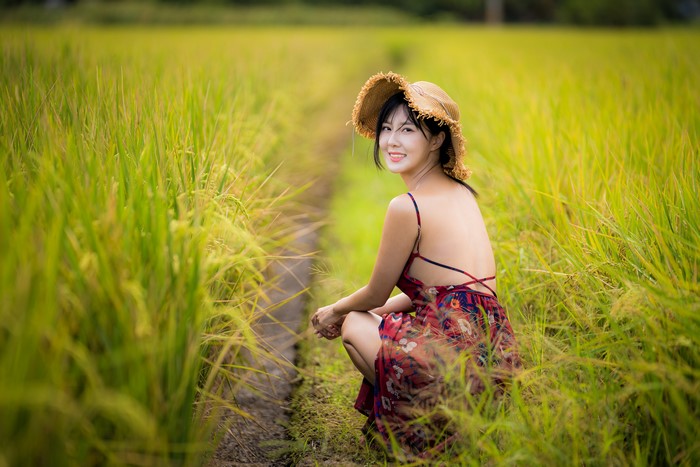 4K Fields Asian Bokeh Sitting Dress Human Back Hat Brunette