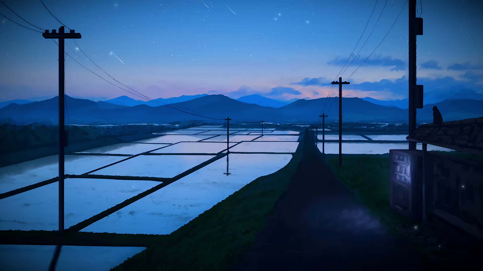 Rice Fields Live Wallpaper