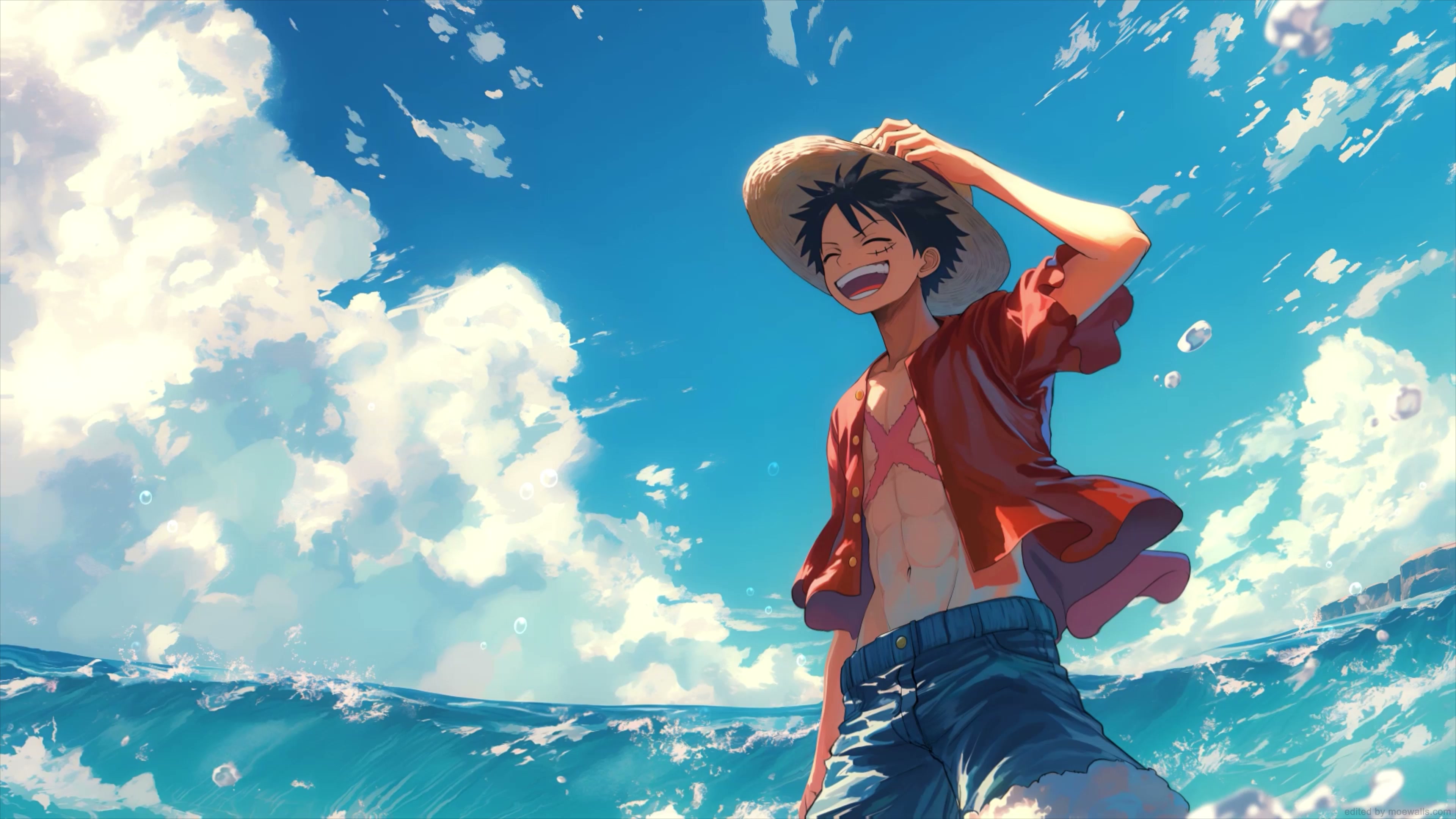 One Piece - Luffy Enjoying Beach Live Wallpaper