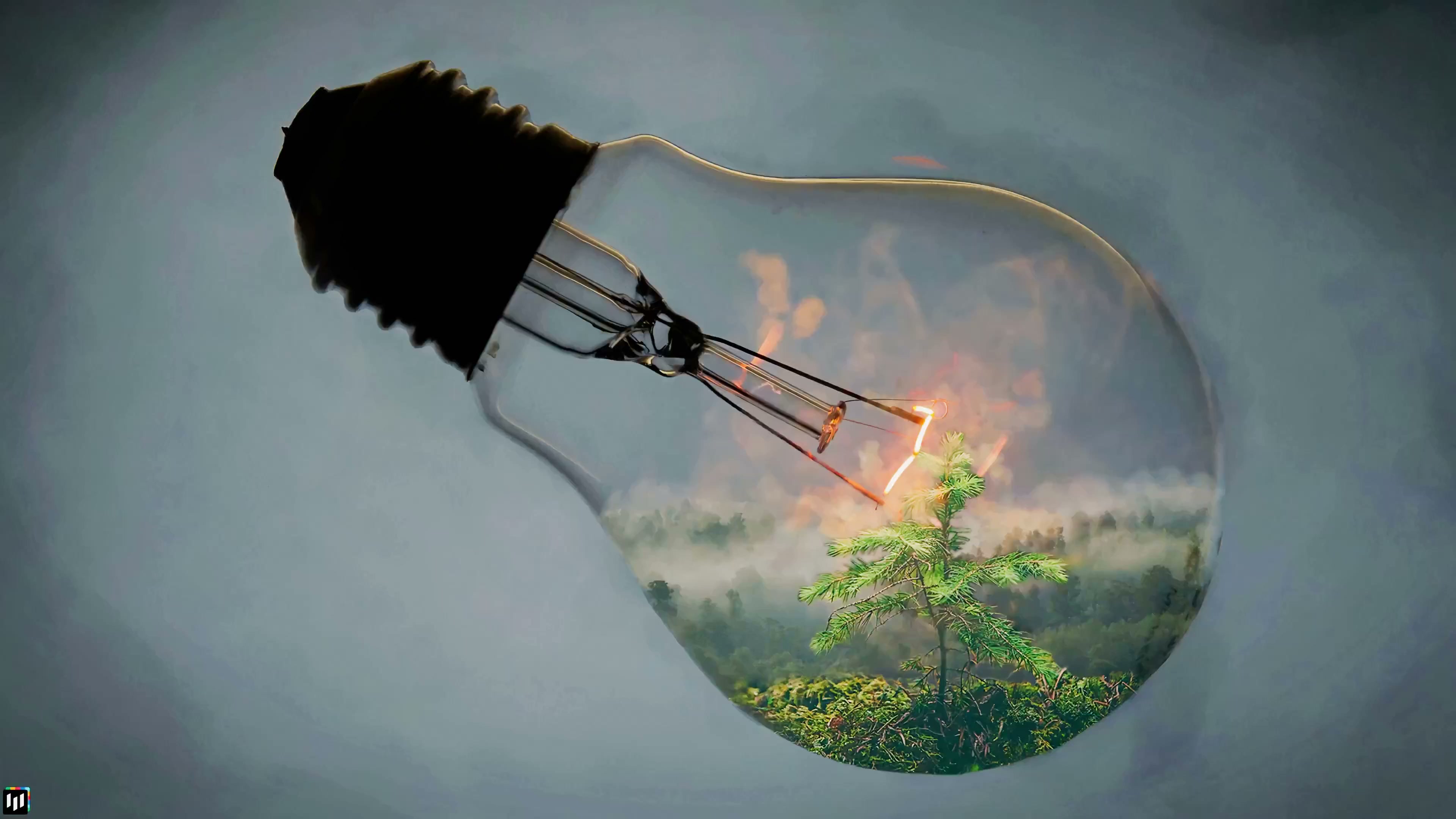 Fantasy Bulb - Live Wallpaper