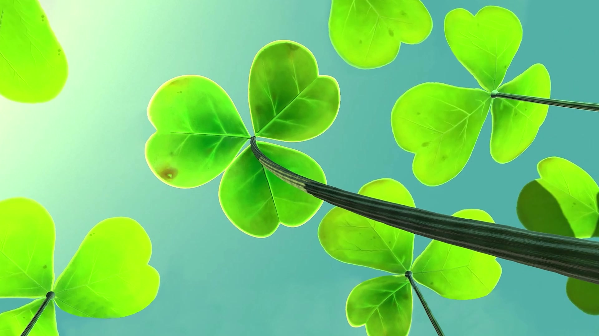 Under Swaying Leaves Live Wallpaper