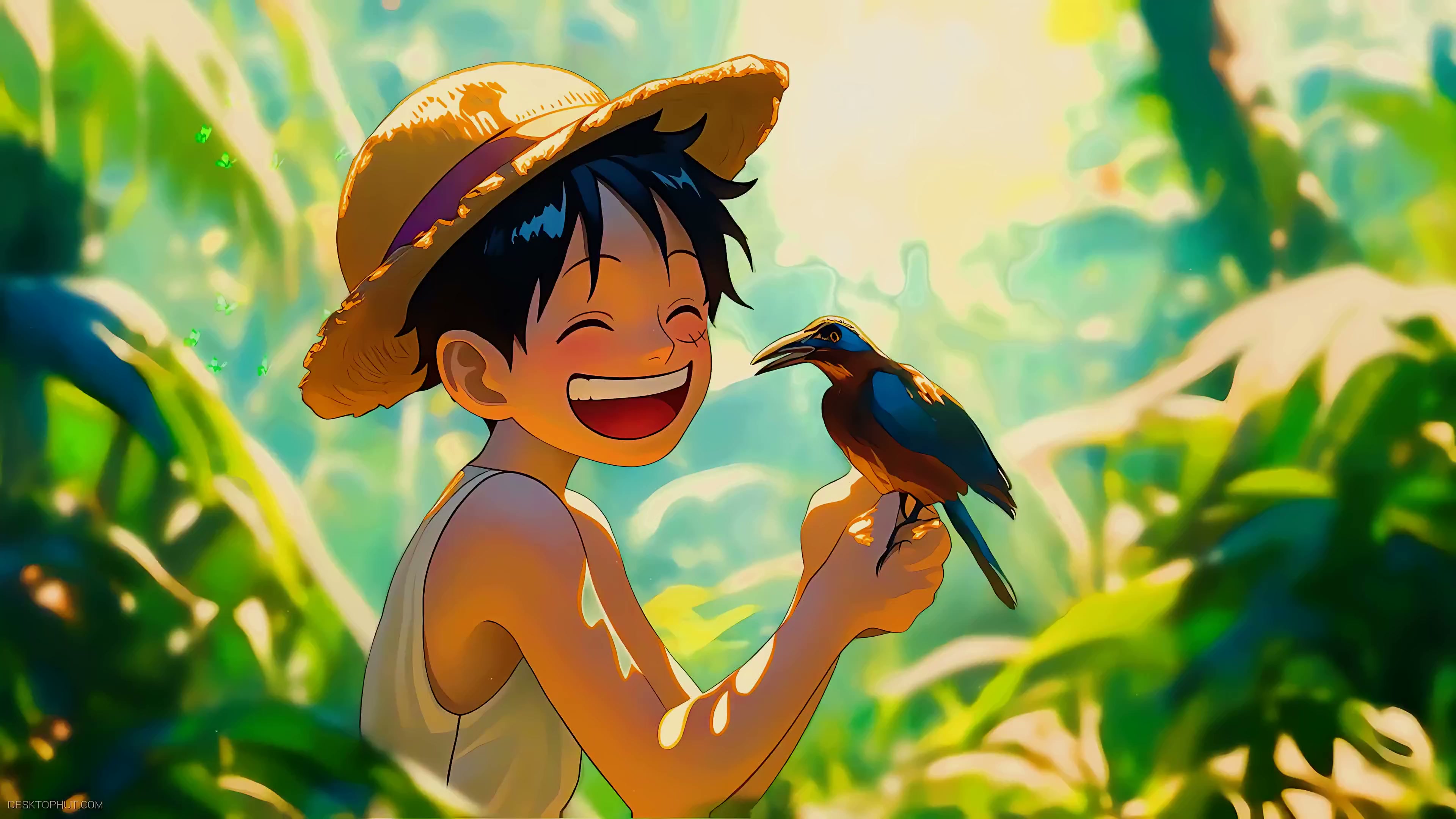Luffy One Piece Bird Friendship Live Wallpaper