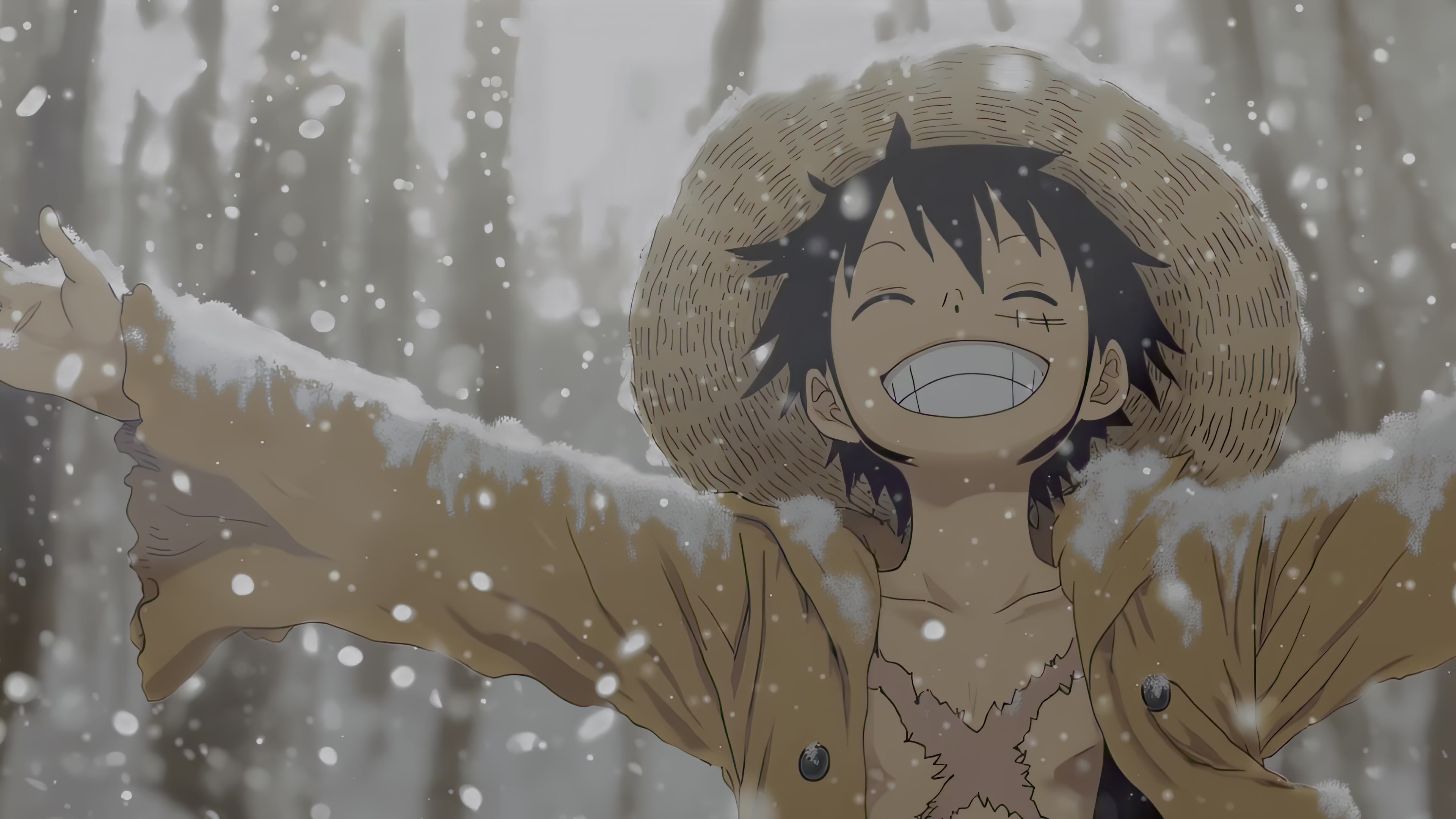 Luffy Winter Happyness Live Wallpaper