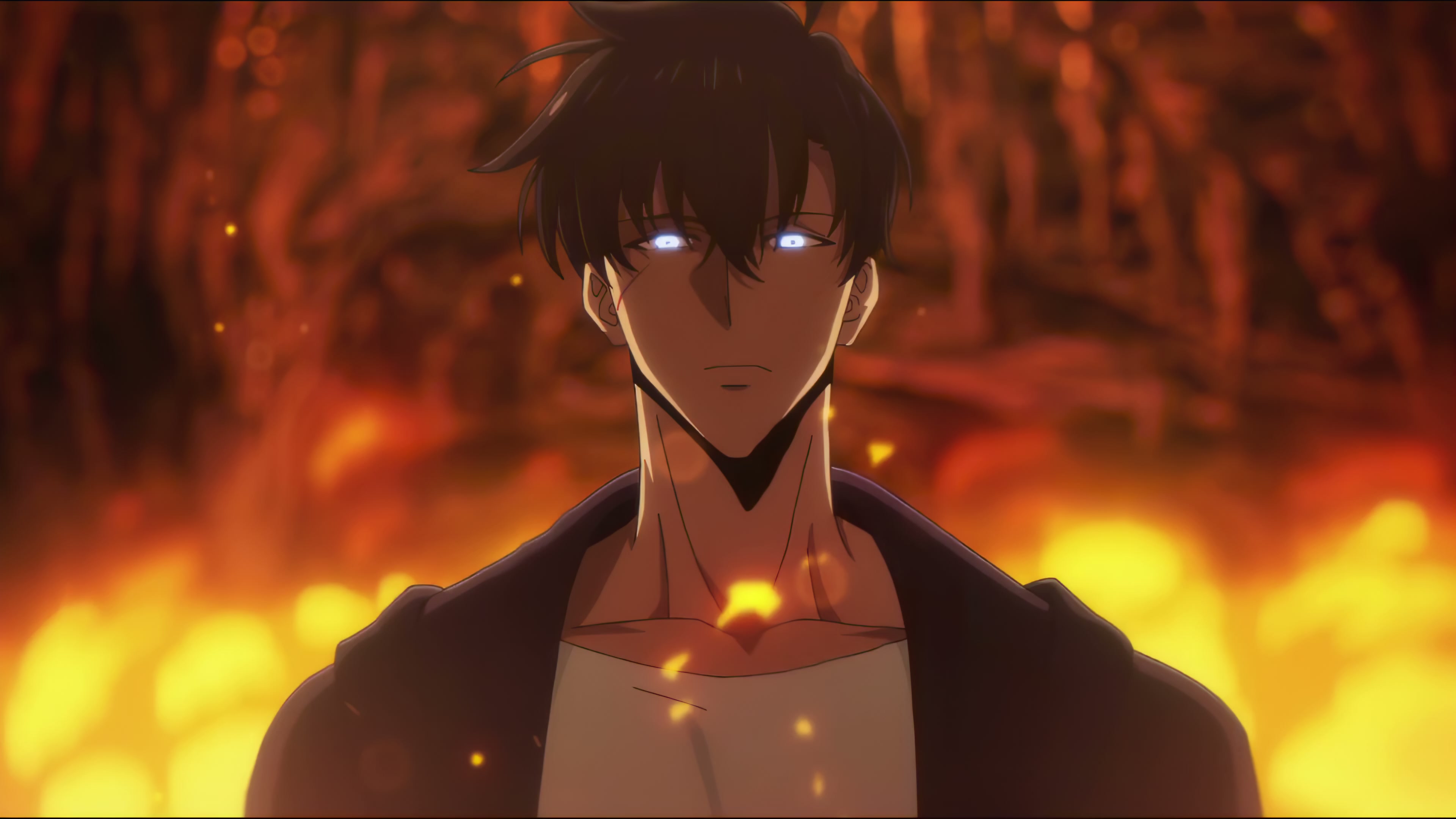 Solo Leveling Sung Jin-woo Fire Live Wallpaper