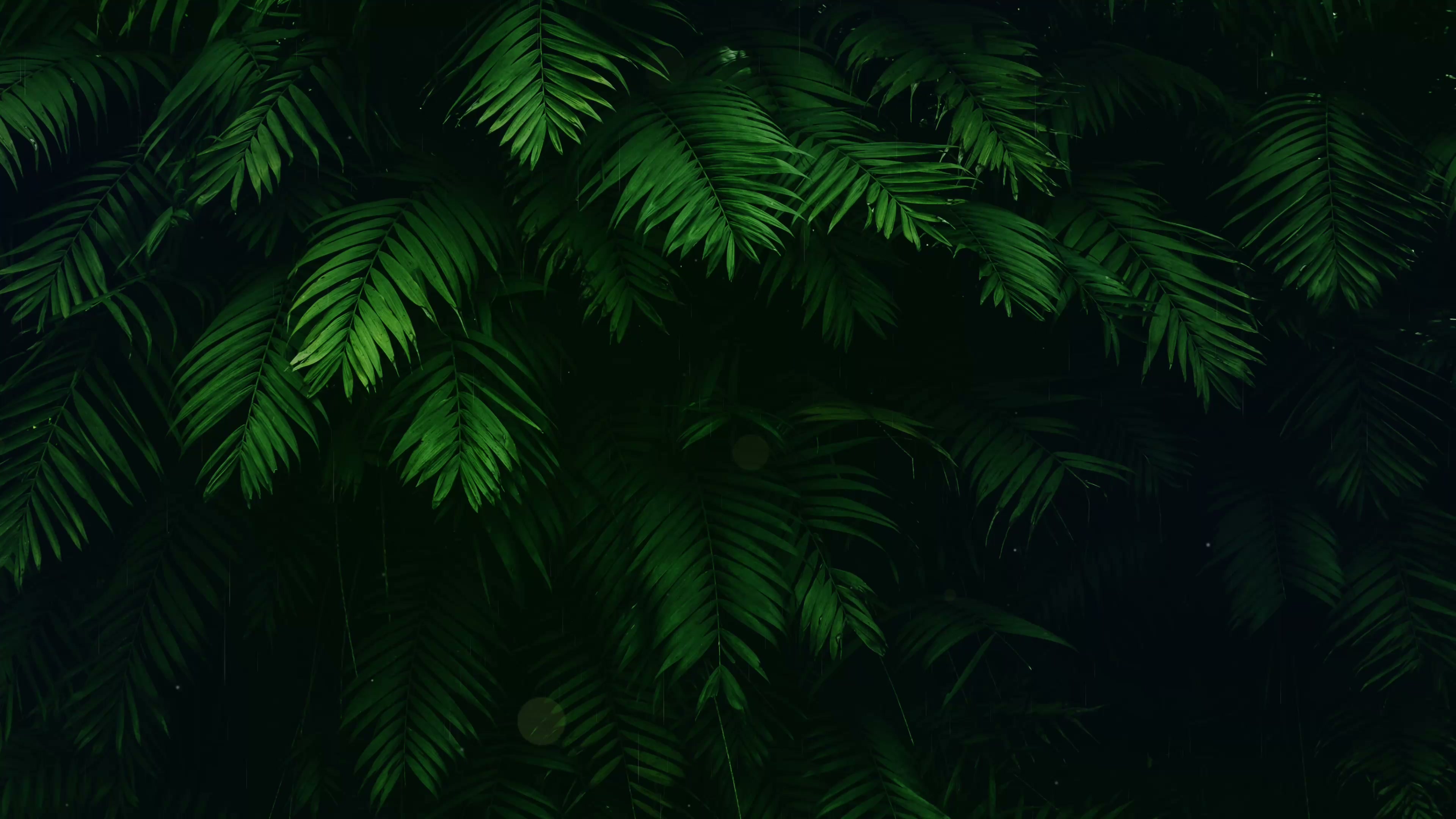Vegetation Live Wallpaper