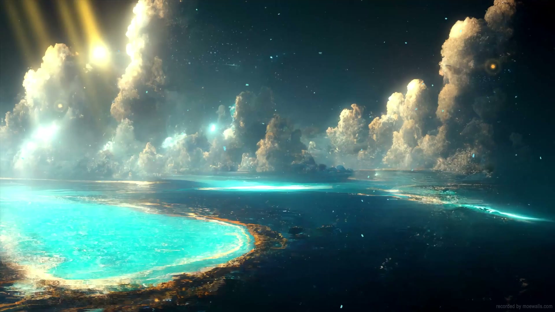 Fluorescent Sea Live Wallpaper