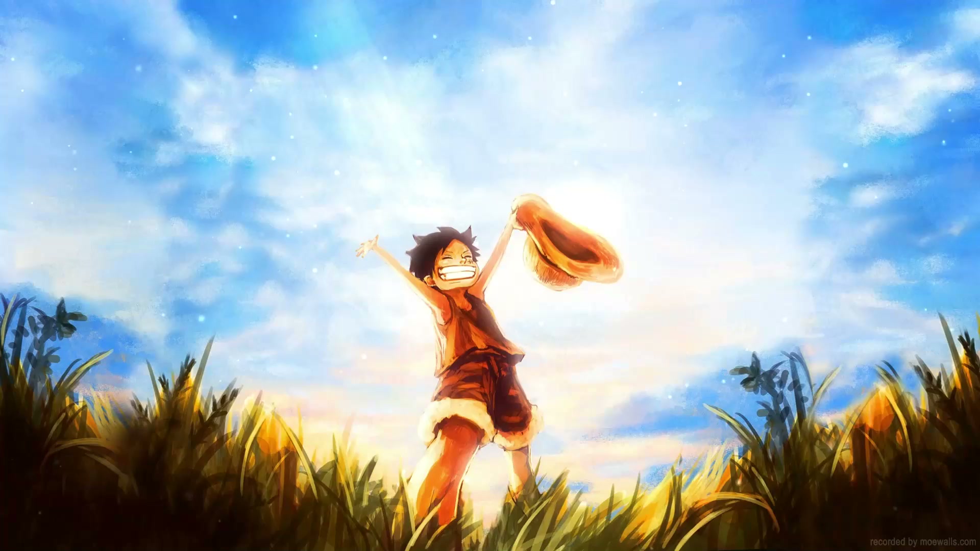 Luffy Kid Happy One Piece Live Wallpapr Live Wallpaper
