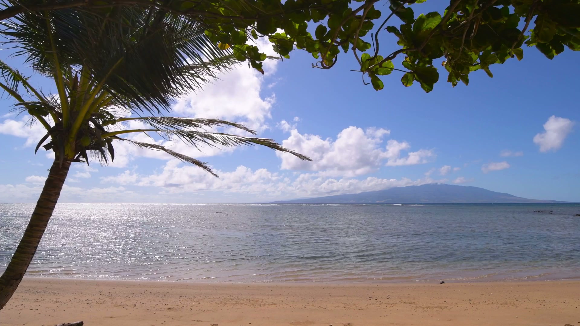 Molokai Breeze HD Live Wallpaper