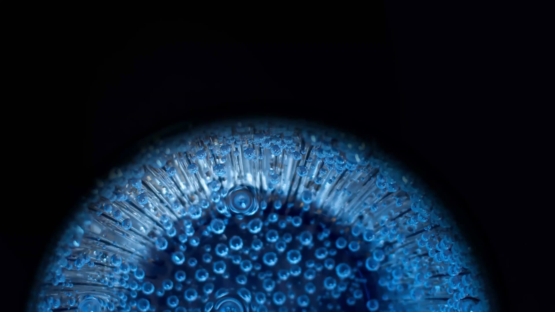 Dragon Blue Eyes Live Wallpaper