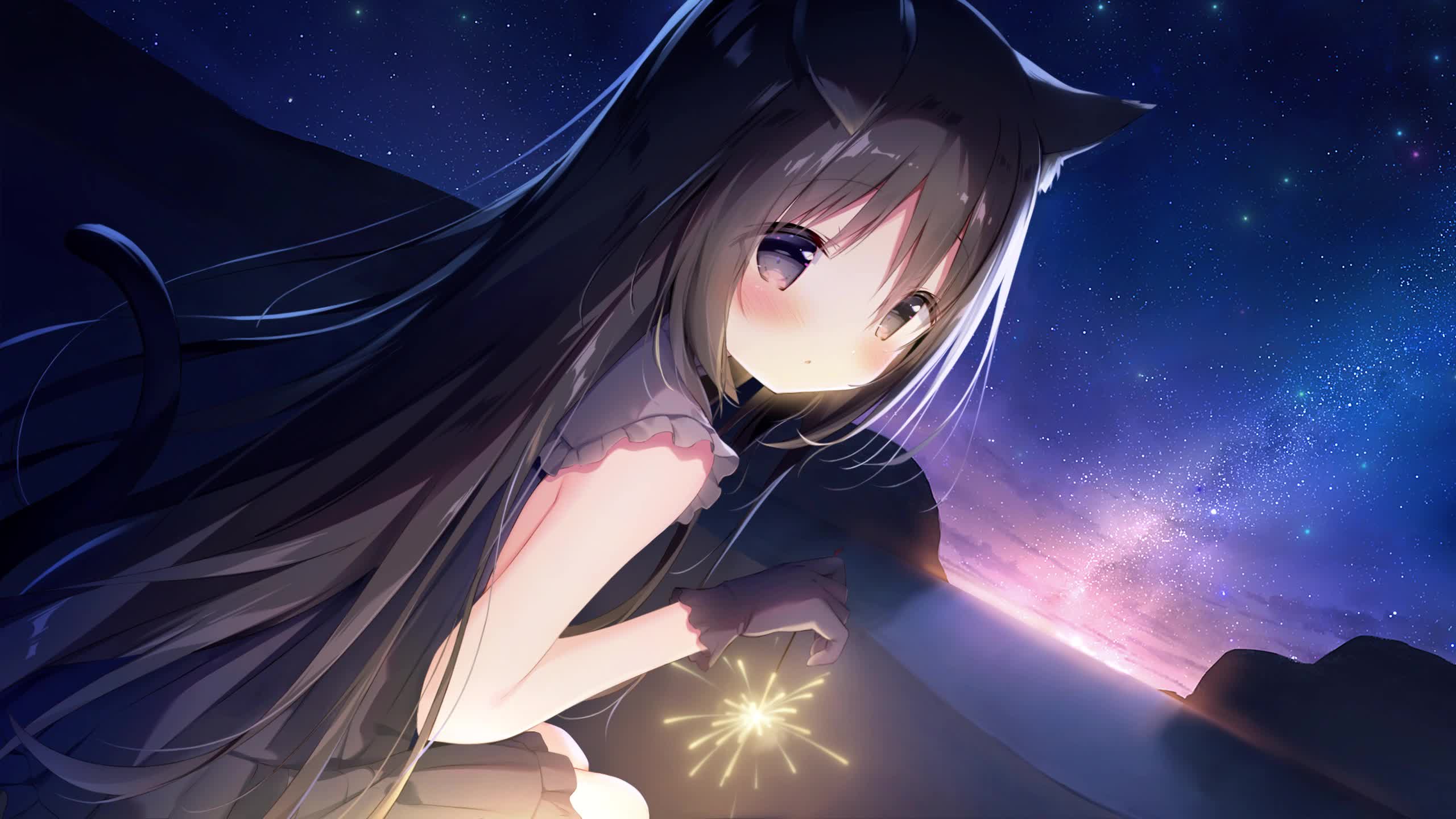 Starry Night Train - Starry Night Railway Live Wallpaper