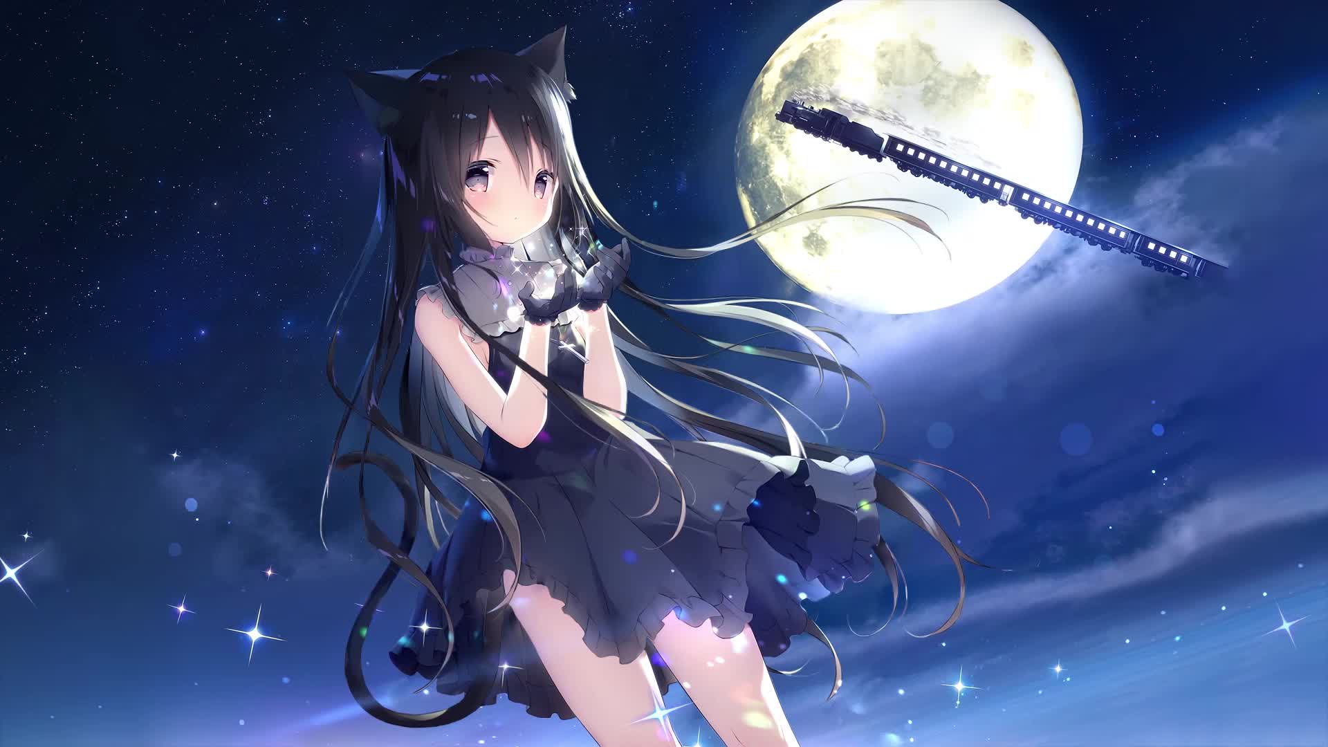 Starry Sky Railway And Shiros Journey Live Wallpaper