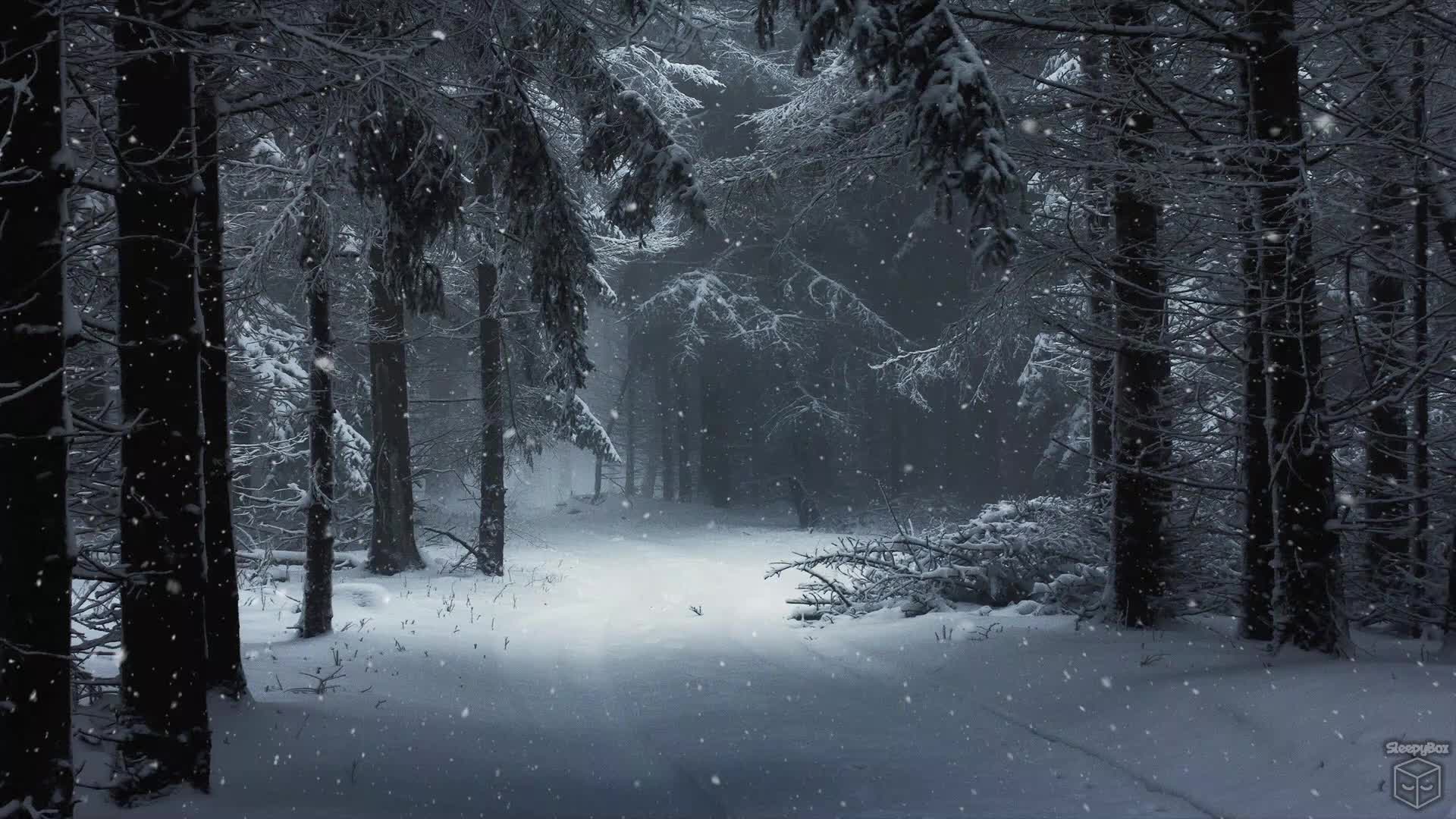 Dark Winter Path Live Wallpaper