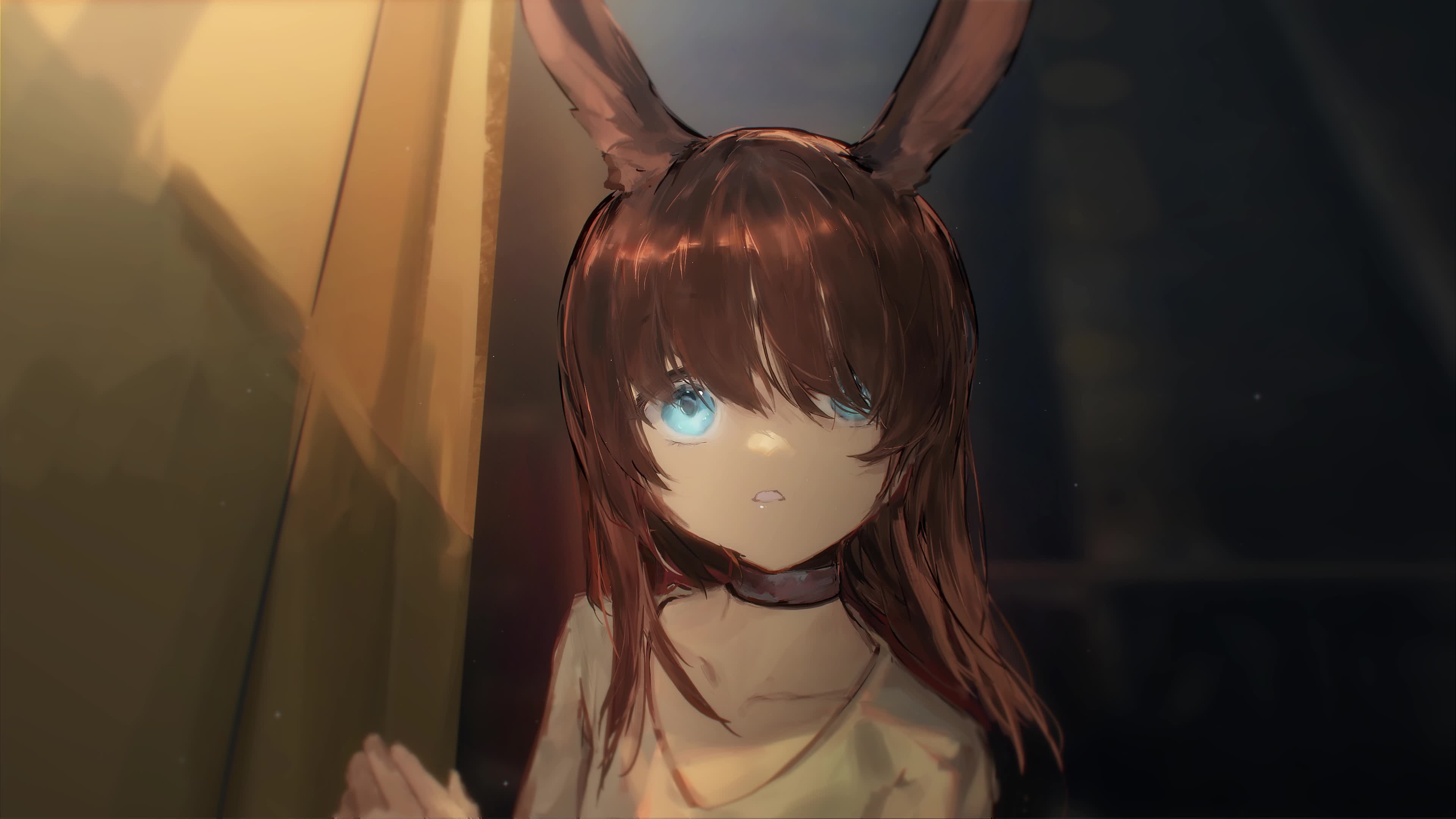 Amiya Arknights Live Wallpaper