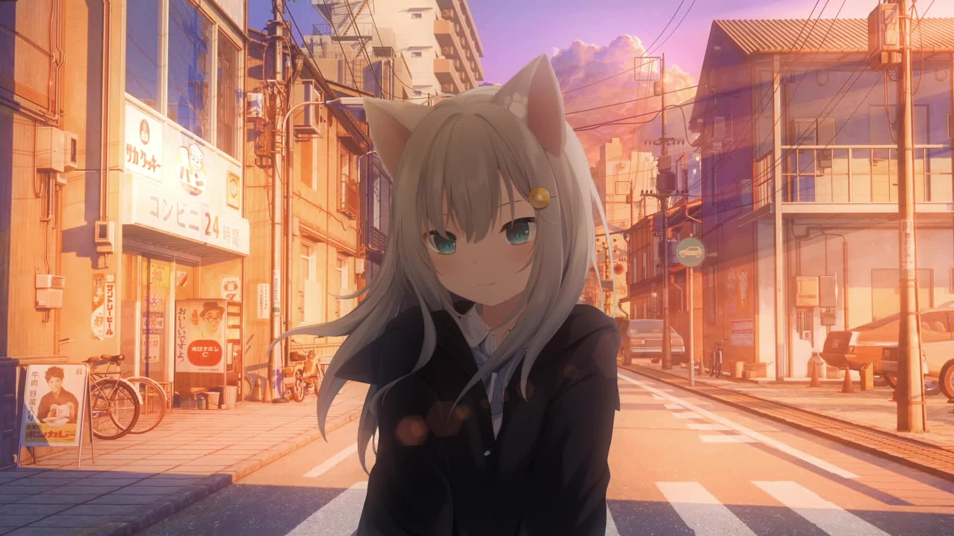 Gancheng Cat On The Street Live Wallpaper