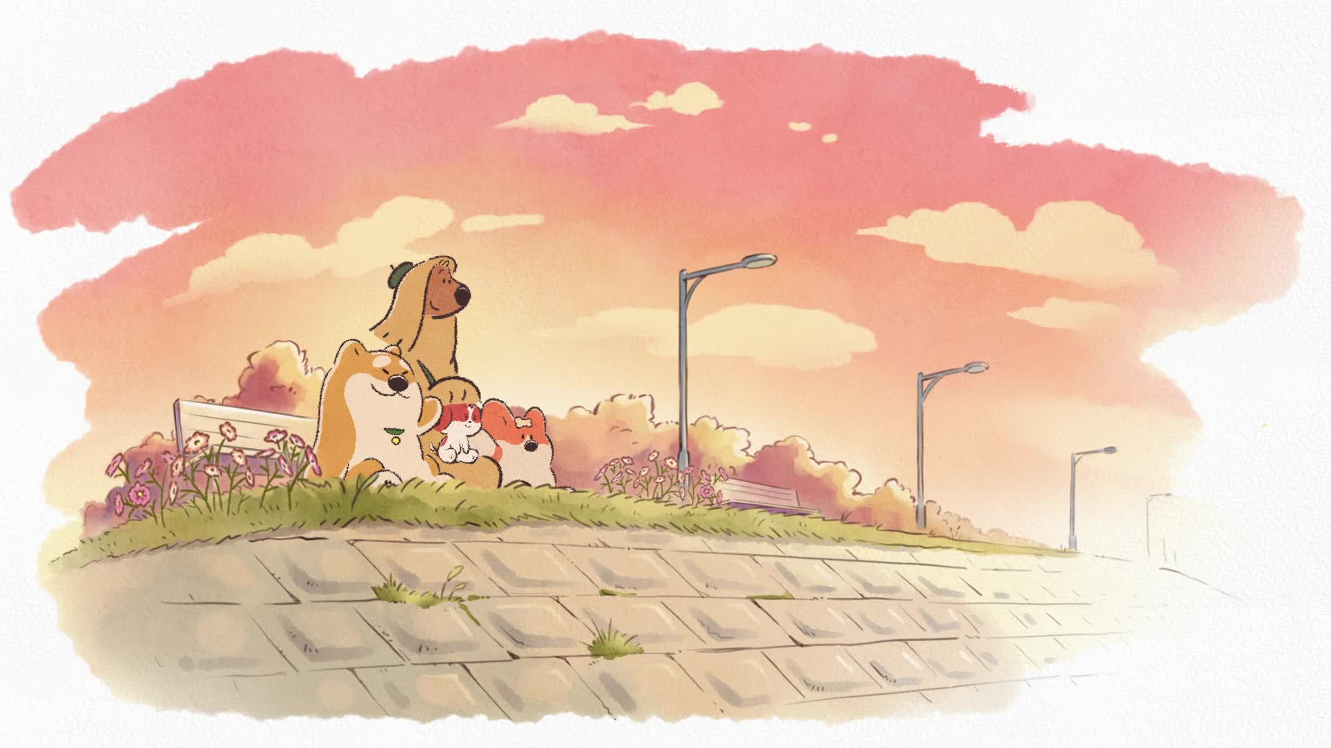 Doggie Corgi Live Wallpaper