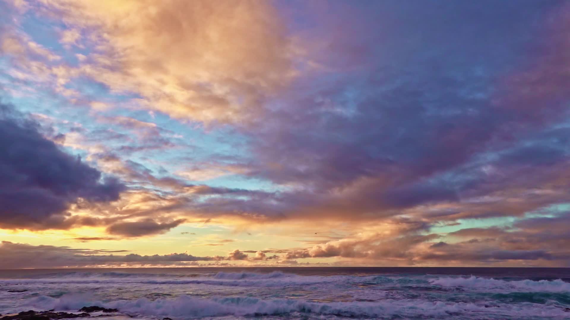 Ocean Live Wallpaper