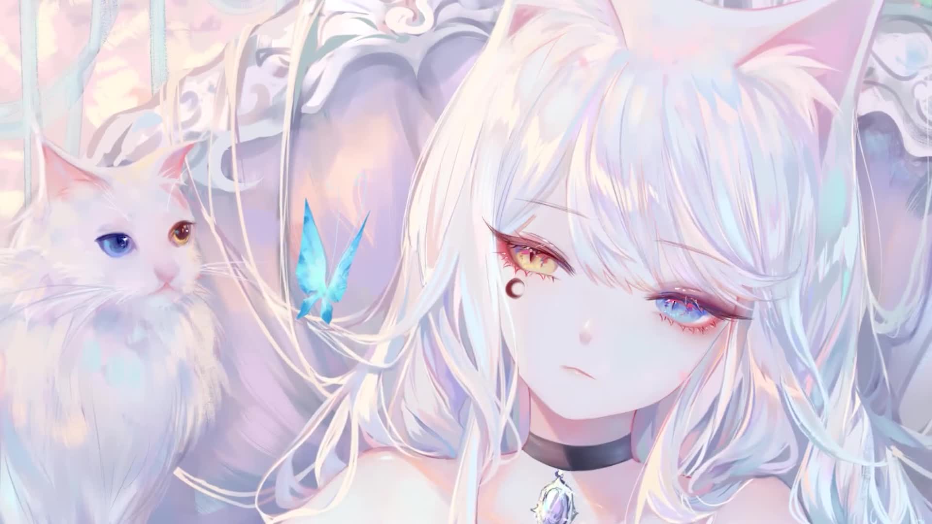 Sheya - Long Hair Cat Live Wallpaper
