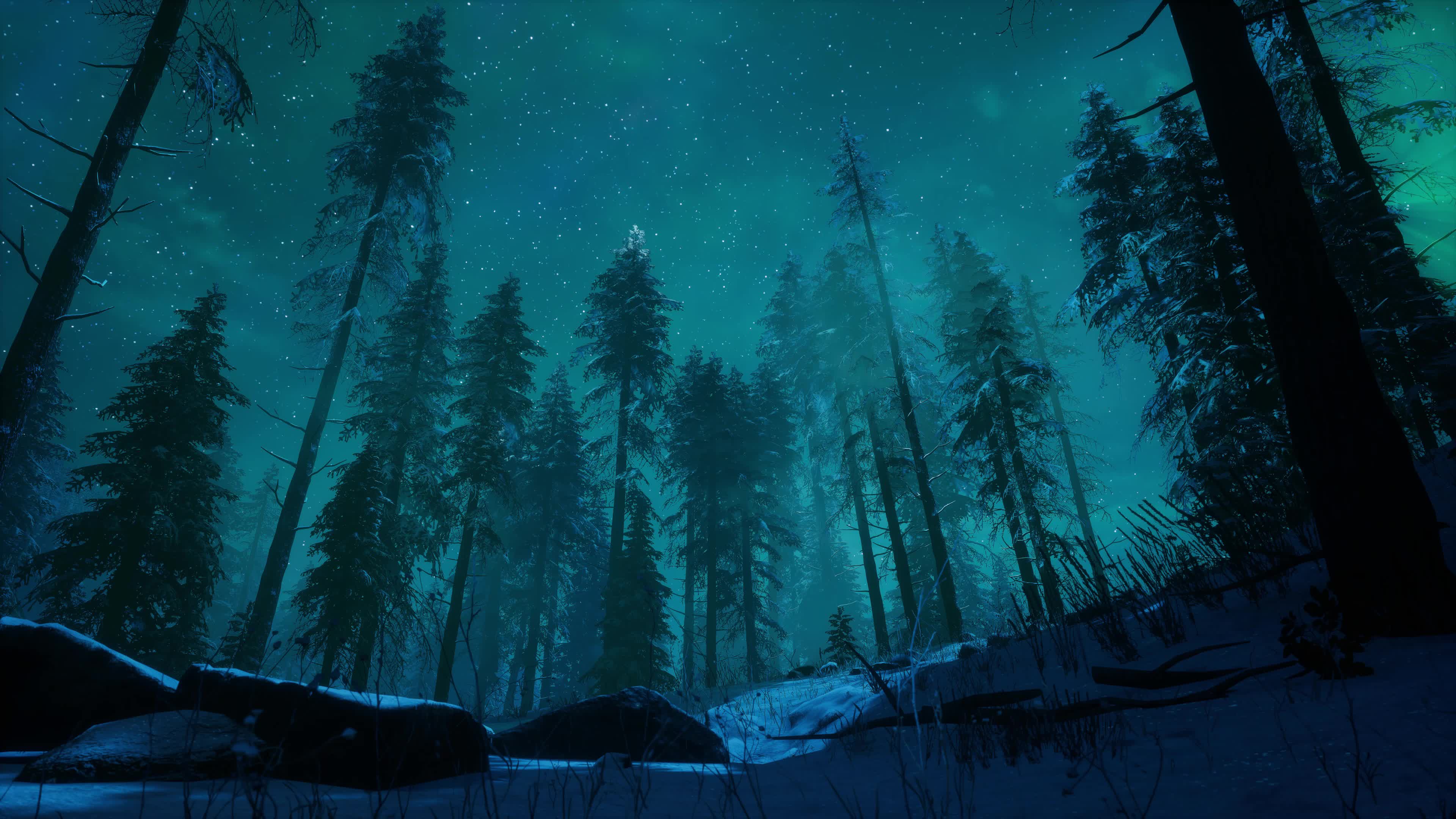 Aurora-Northern Hardwood Forest Live Wallpaper