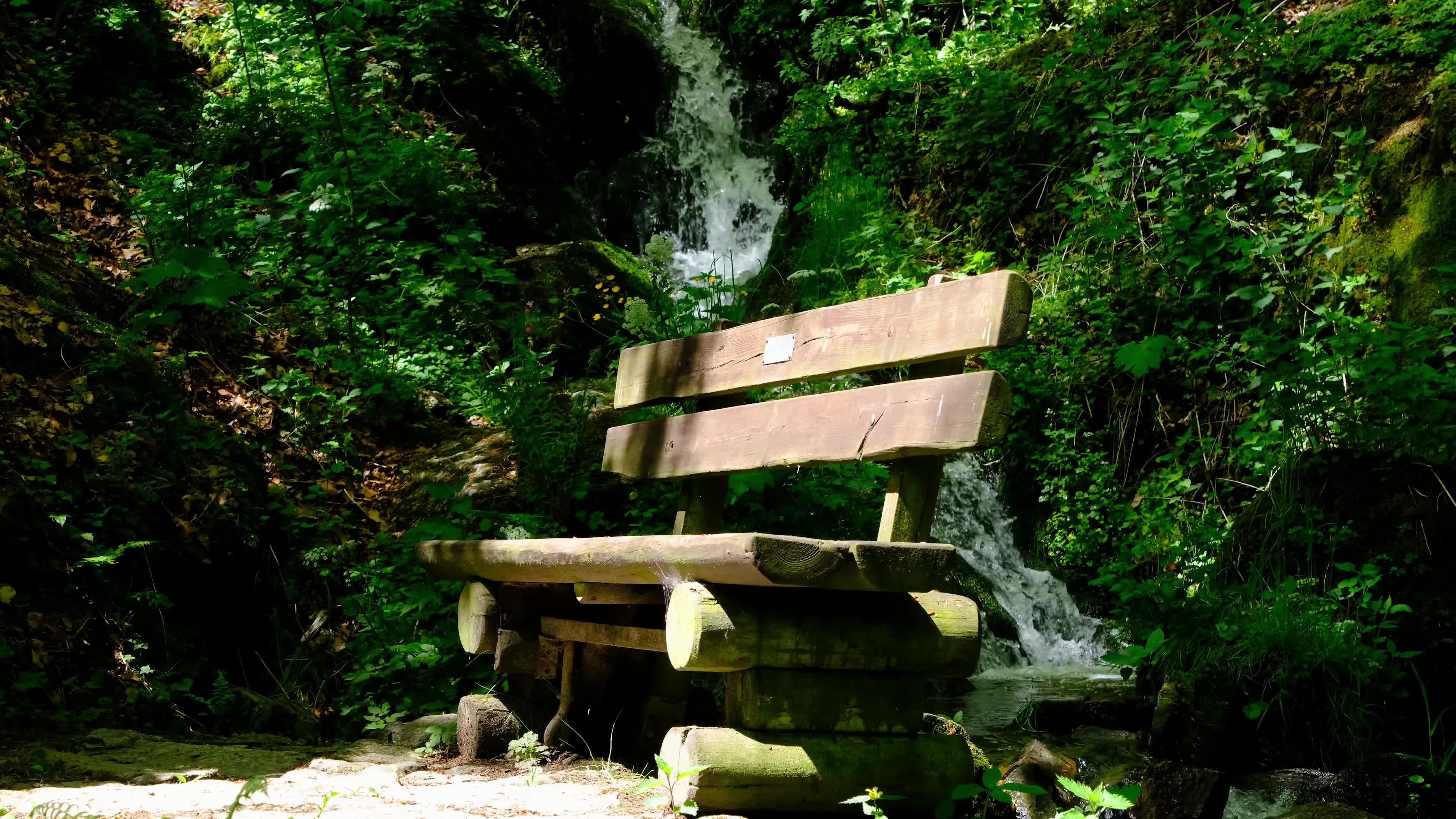 Outdoor Bench Live Wallpaper