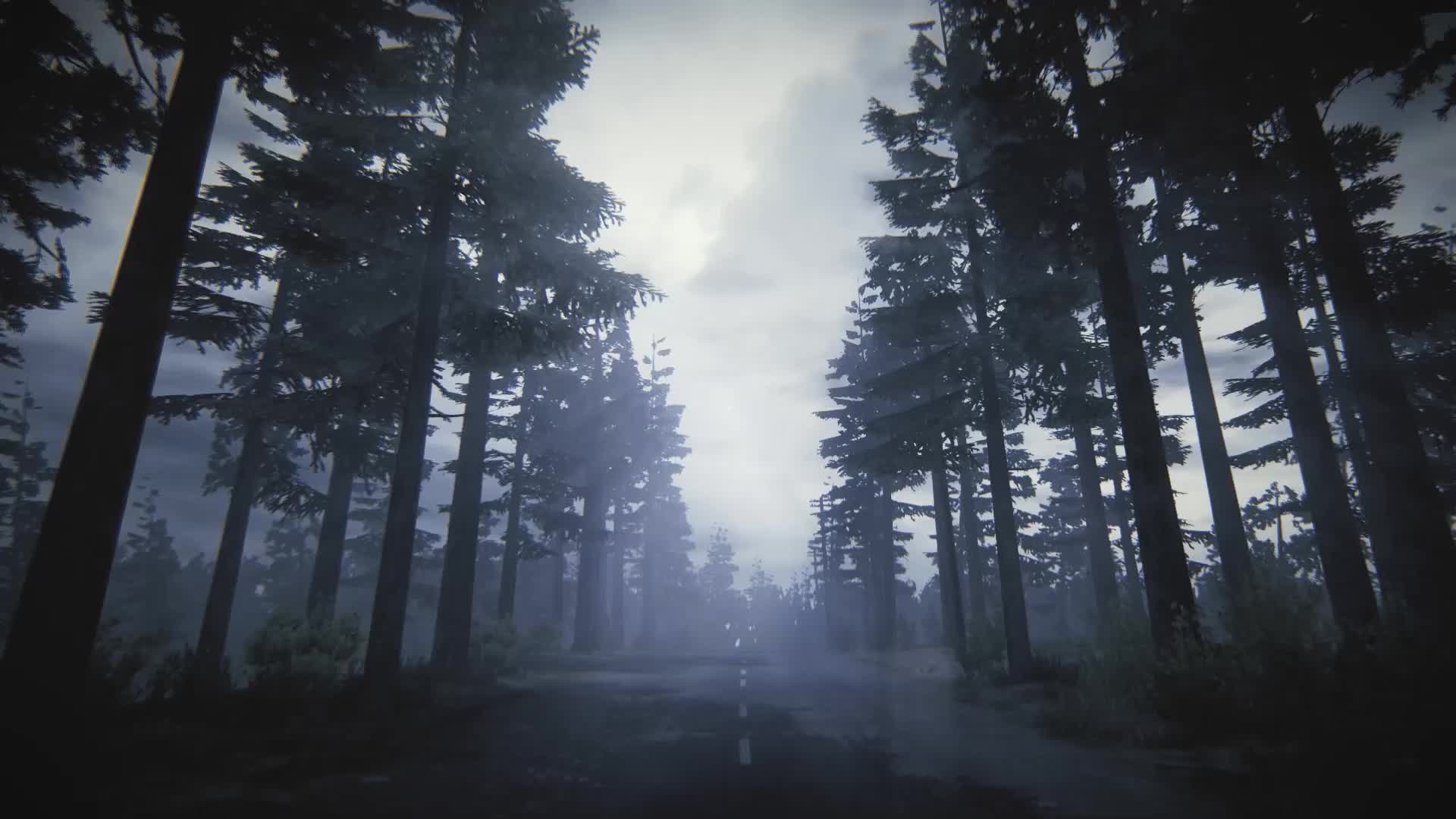 Forest Road Live Wallpaper