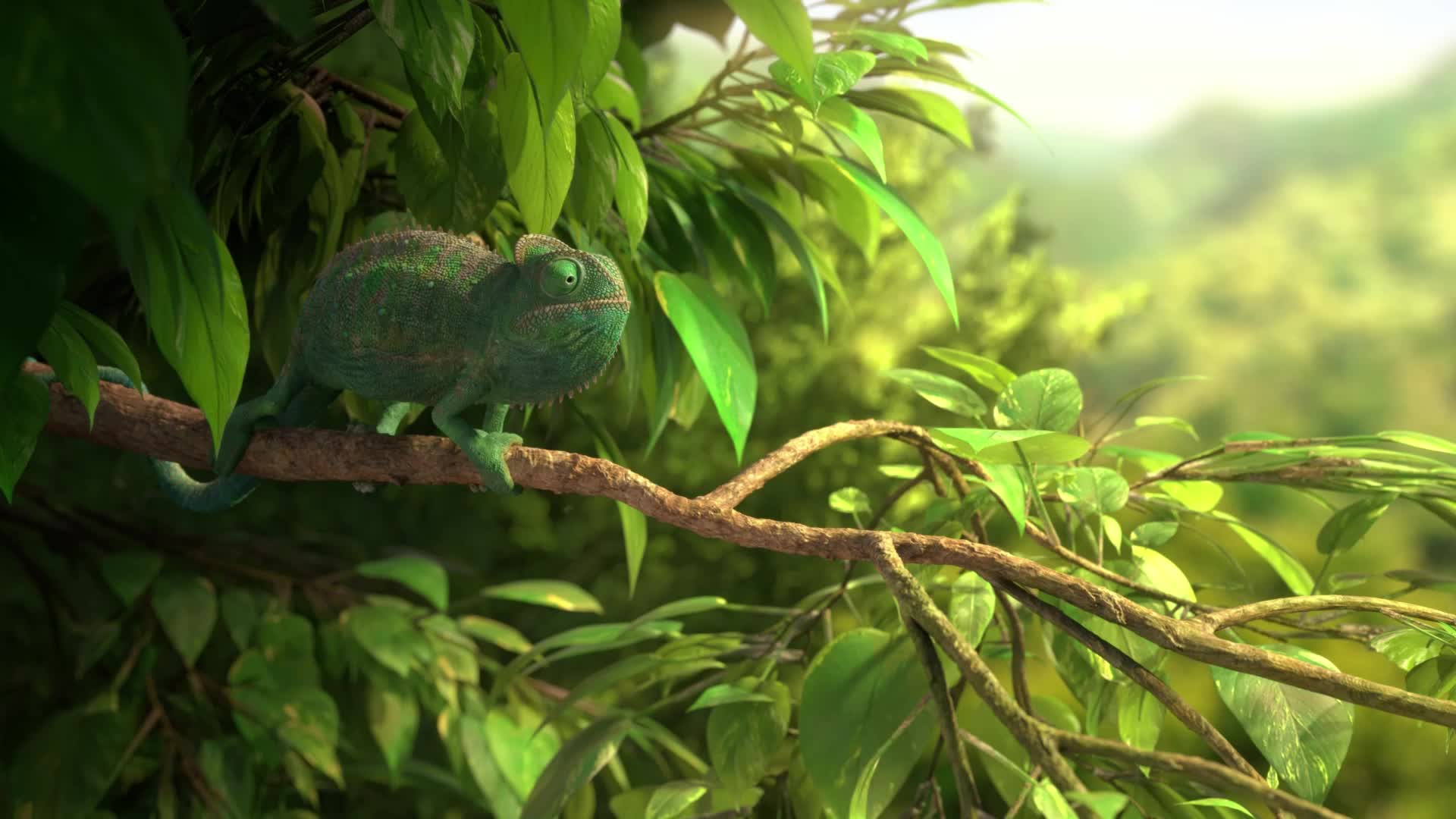 Chameleon In The Forest Live Wallpaper