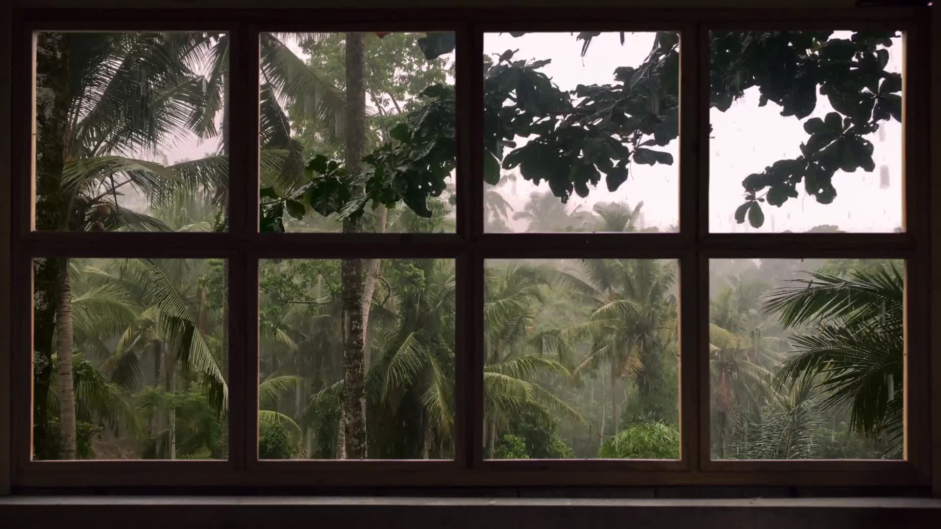 Tropical Storm Window With Rain & Thunder Live Wallpaper