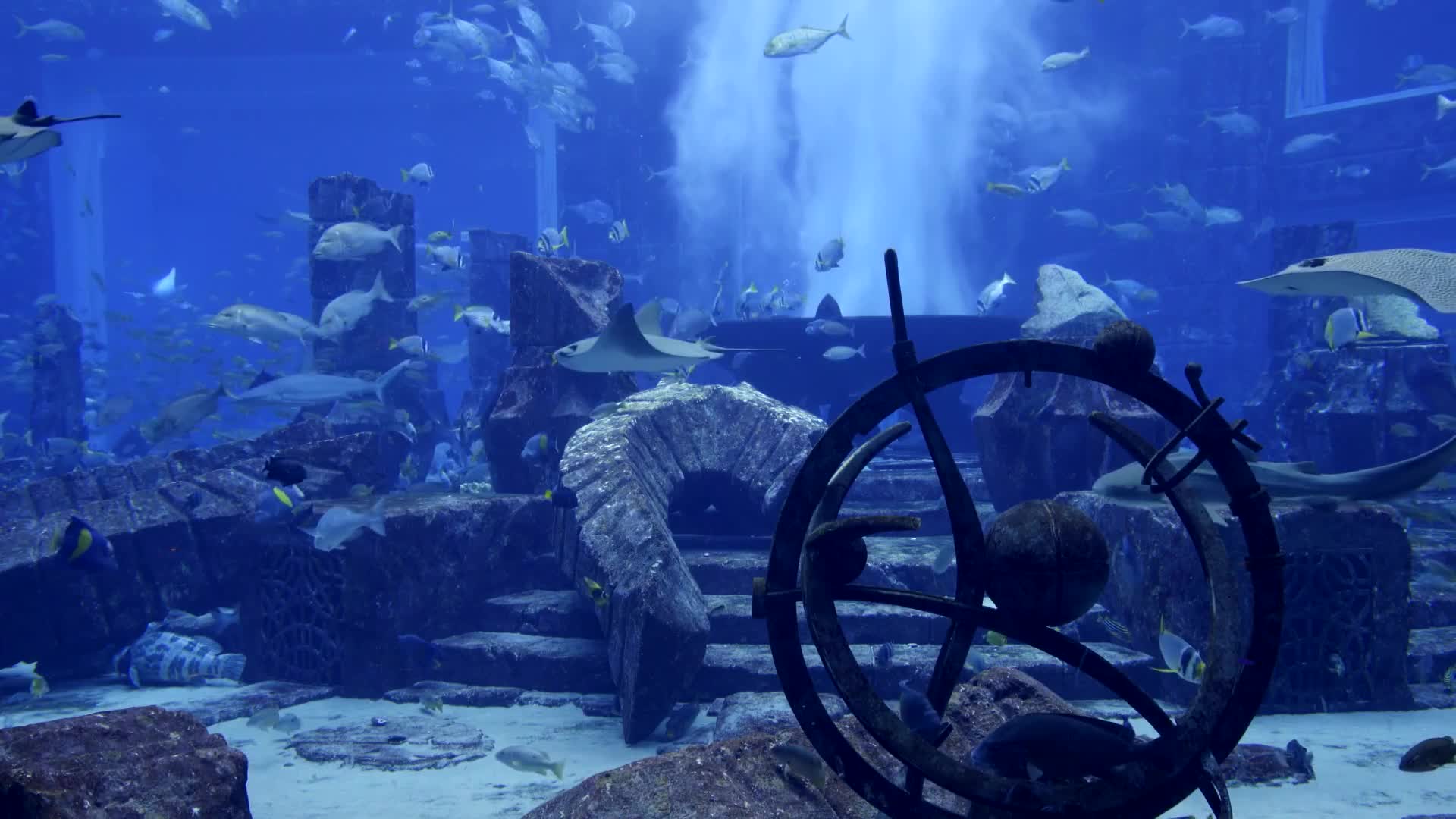 Fantasy Aquarium World Live Wallpaper