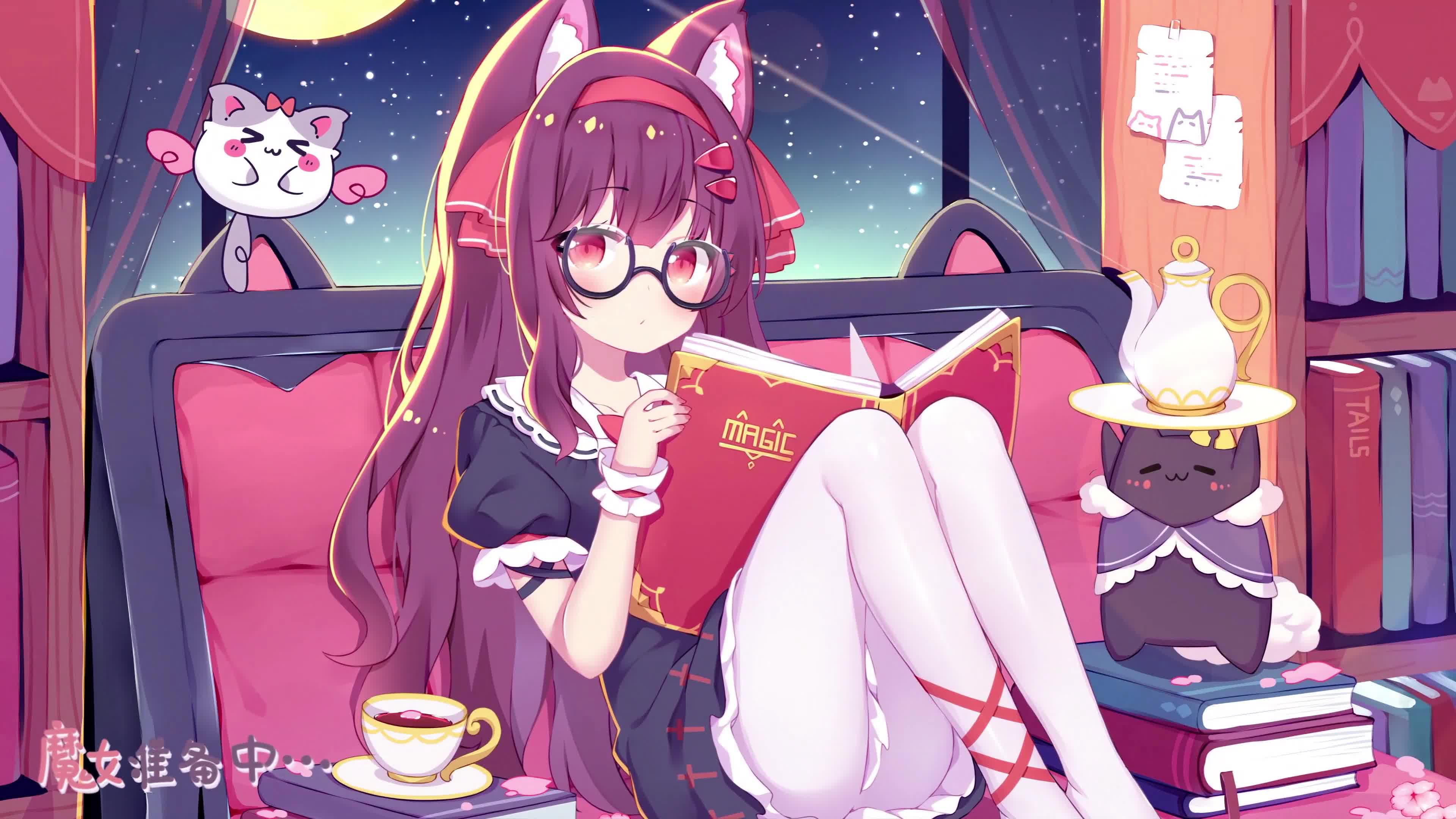 Quiet Reading At Night Live Wallpaper