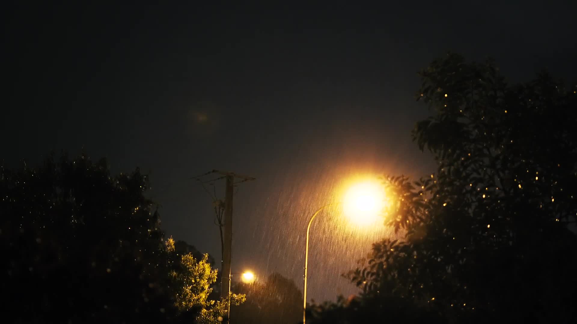 Night Rain Live Wallpaper