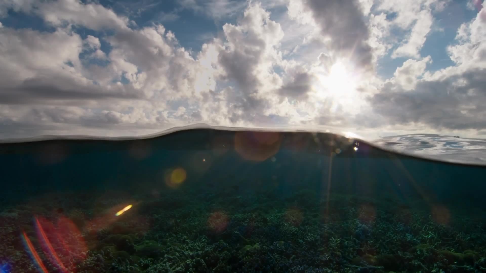 Seawater Live Wallpaper