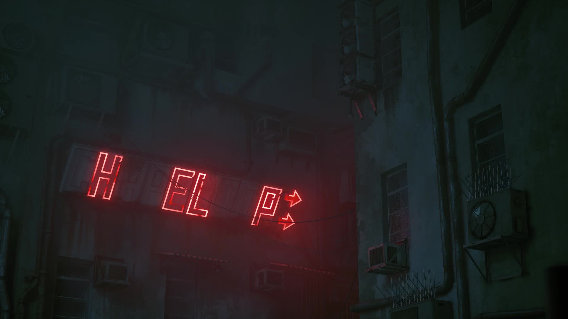 Stray Cat Adventure Live Wallpaper