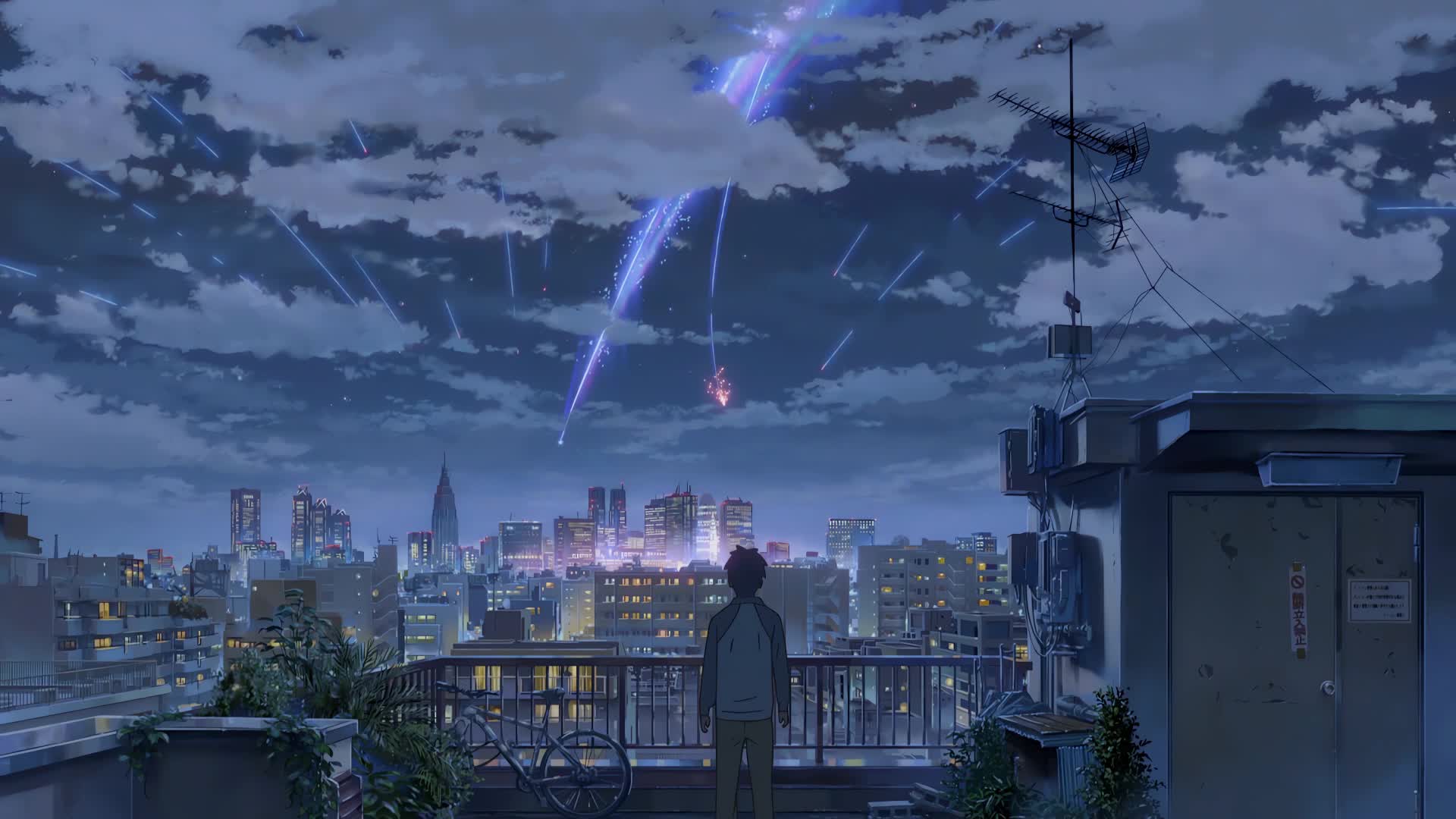 Your Name Taki Tachibana Under The Stars Live Wallpaper