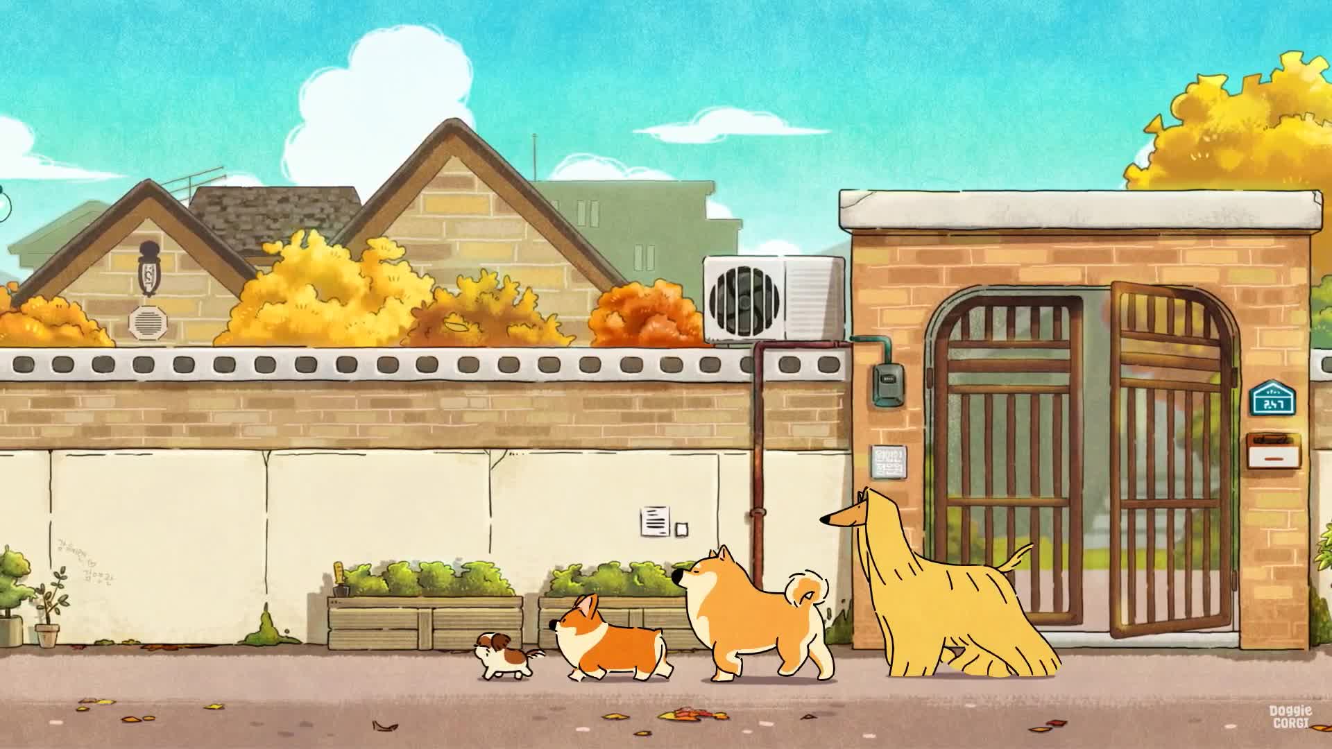 Doggie Corgi Live Wallpaper