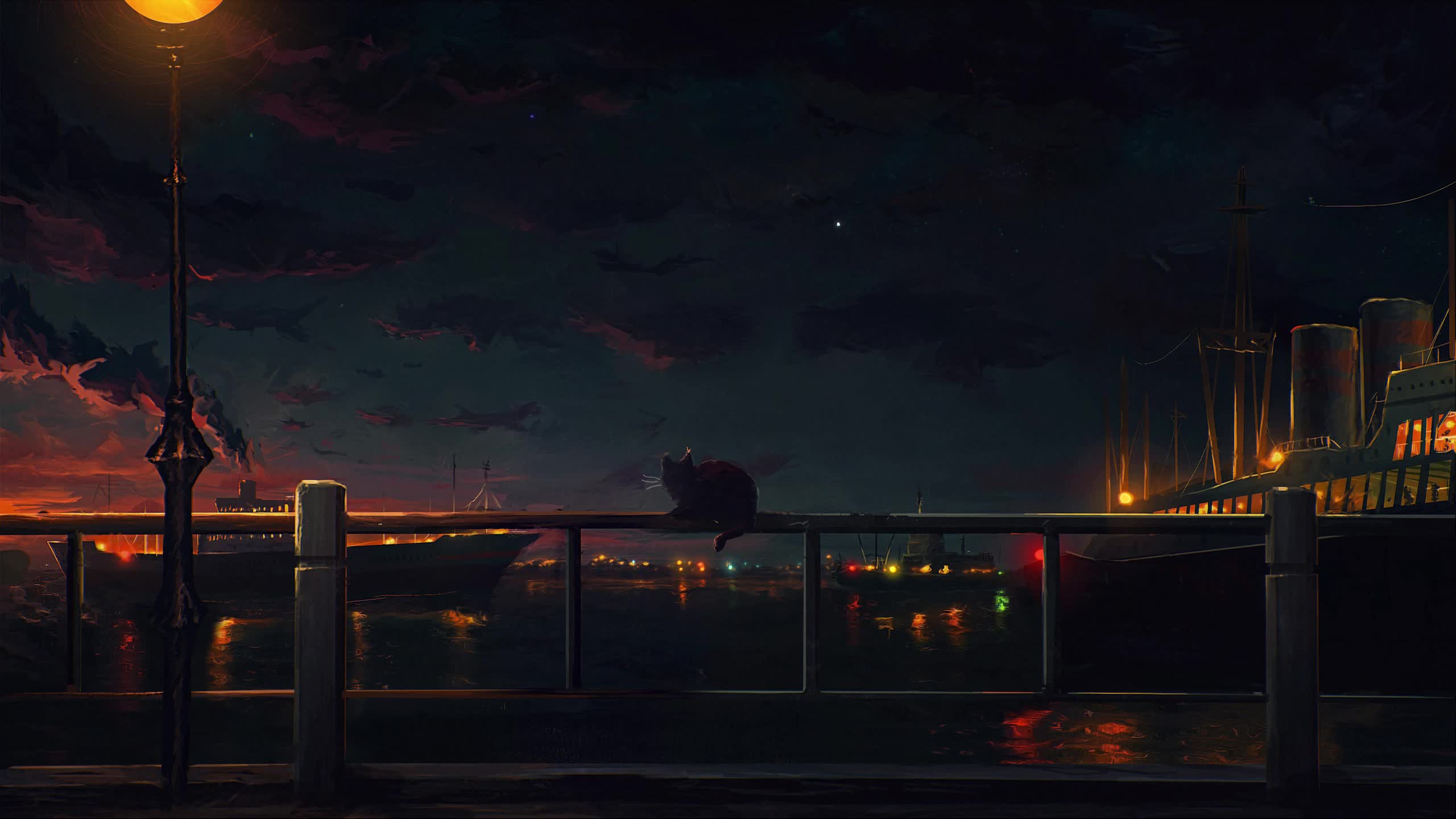 Night Cat Live Wallpaper