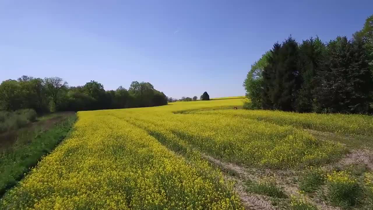 Rapsfeld Phantom Live Wallpaper