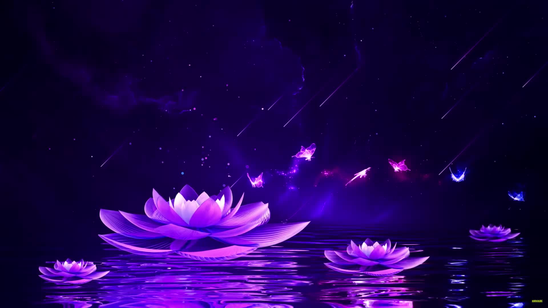 Peaceful Night Live Wallpaper