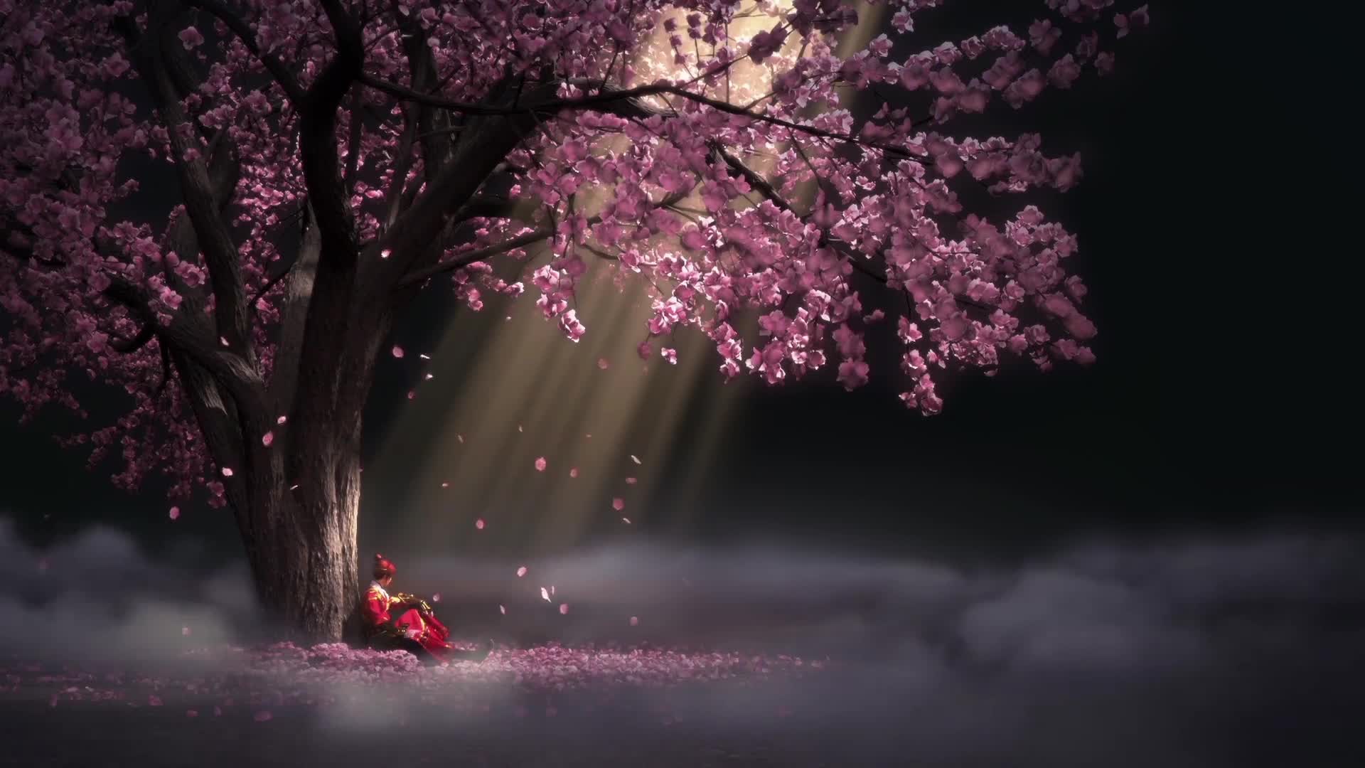 Anime Man Under The Flower Tree Live Wallpaper