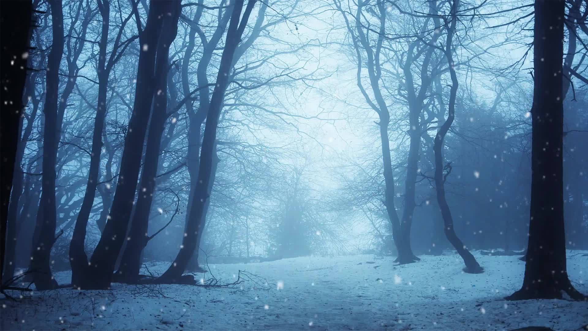 Winter Forest Live Wallpaper