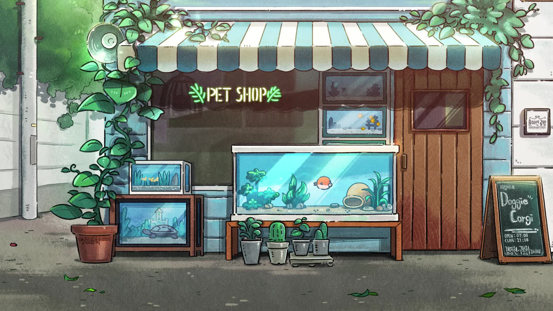 Doggie Corgi Pet Shop Live Wallpaper