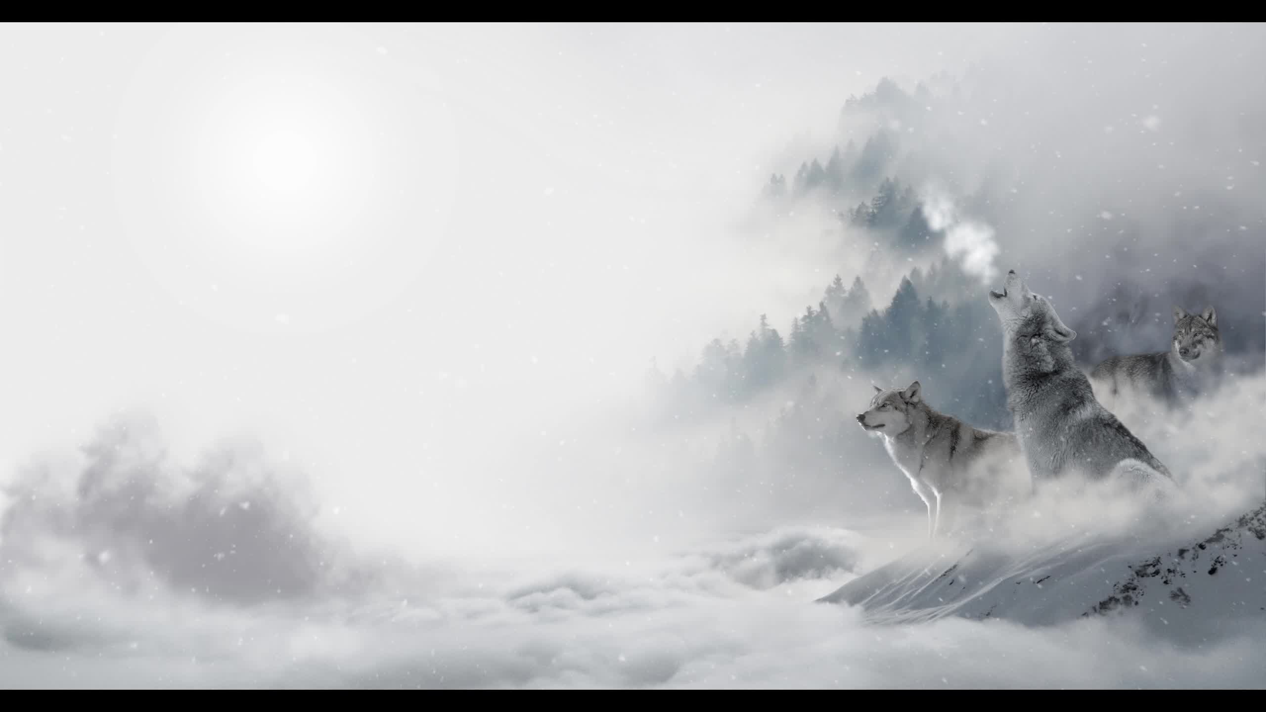 Winter Wolf Howl Live Wallpaper