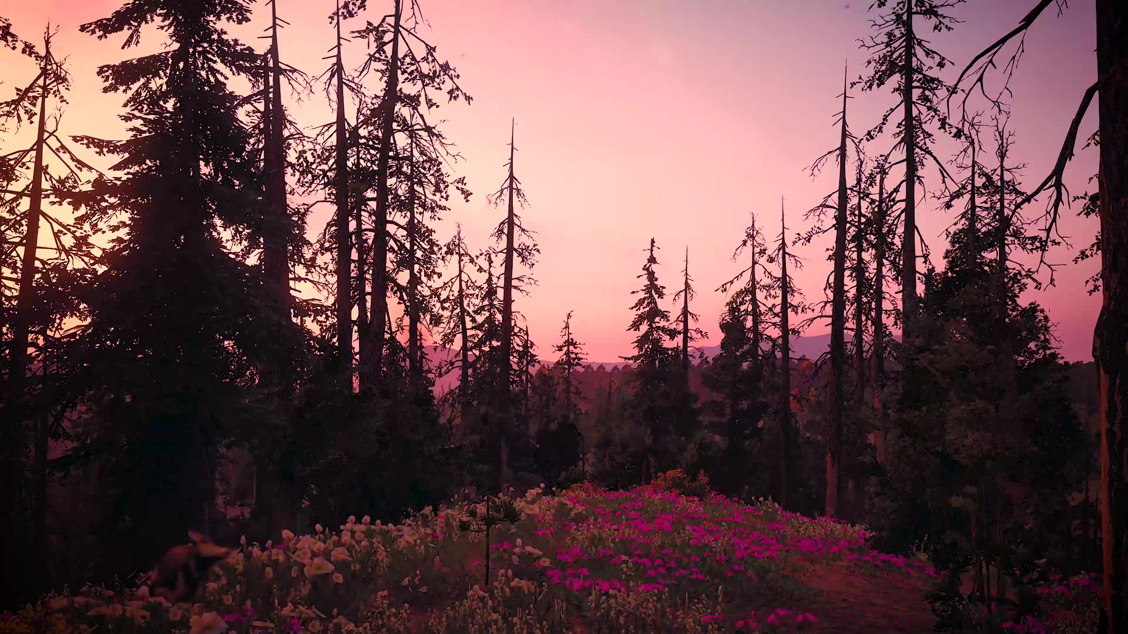 Flower Garden In Forest Live Wallpaper