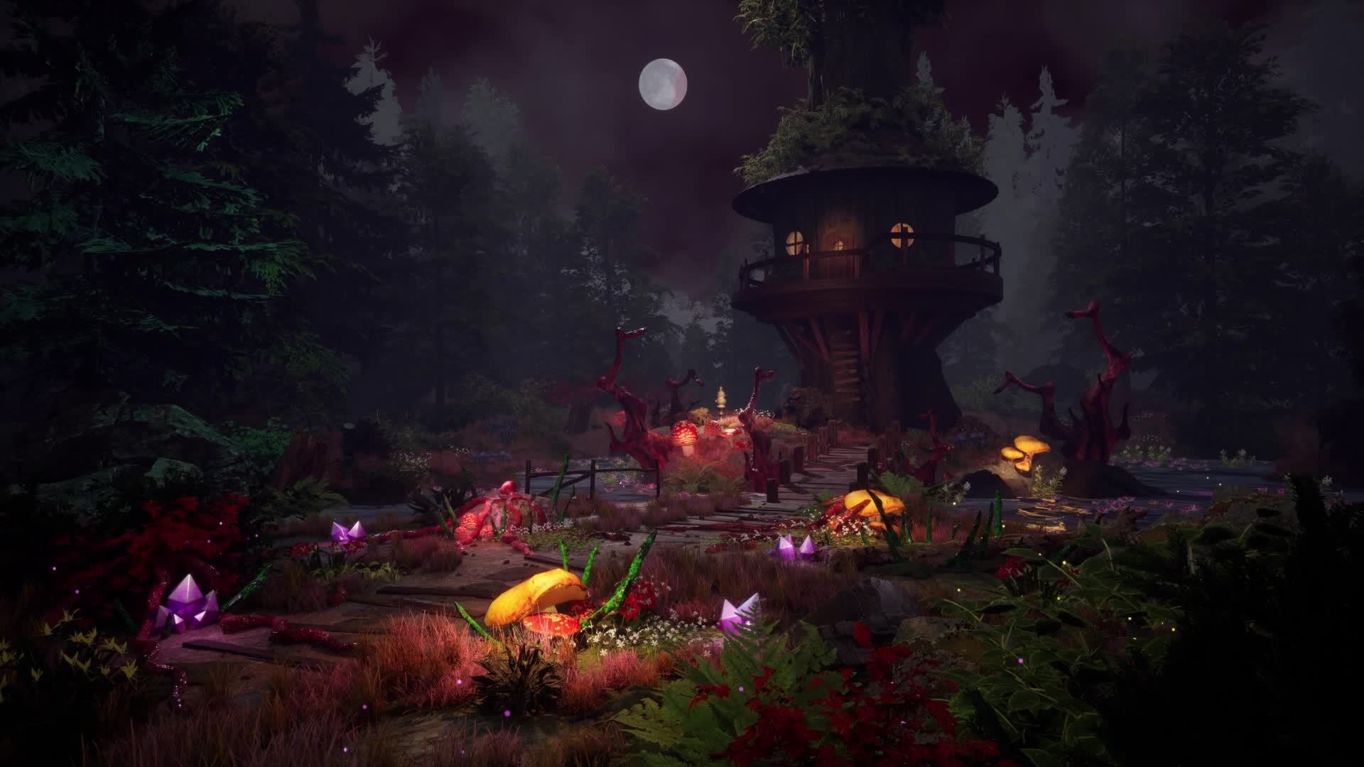 Fantasy Forest At Night Live Wallpaper