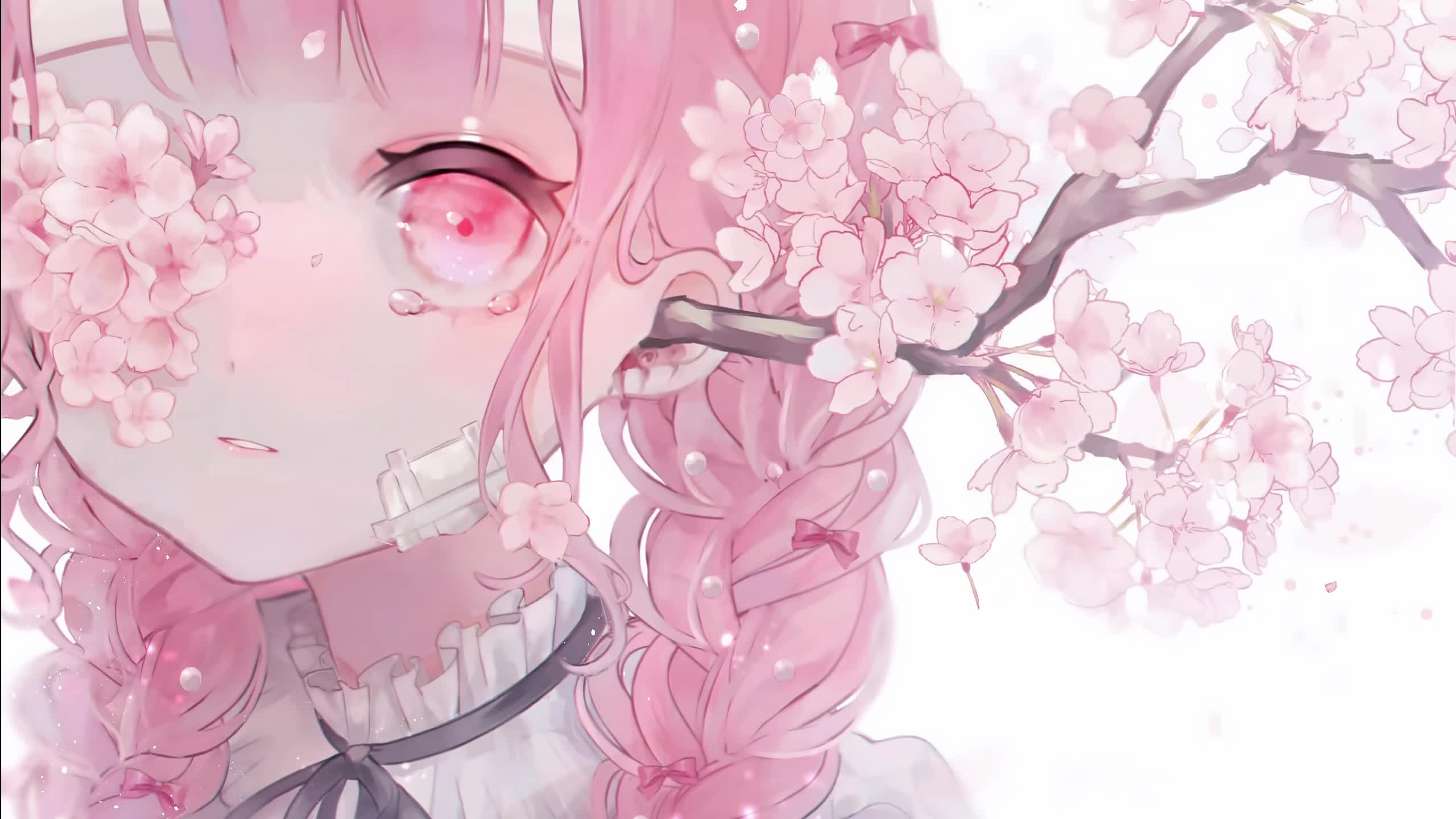 Anime Girl Hurt By Sakura Live Wallpaper